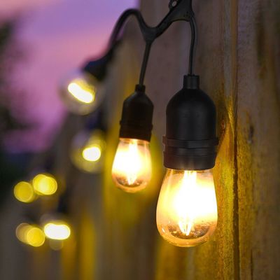 Festoon Garland Light LED Clear Bulb Belt Lights Low Voltage Lighting Strand (Фестон Гарланд) Светильник с прозрачной лампочкой
