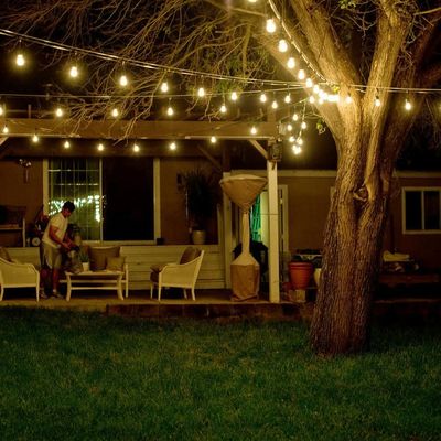 Наружная лампа Festoon Globe Garland B22 E27